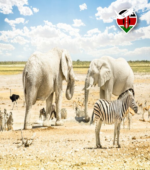 kenyavisa