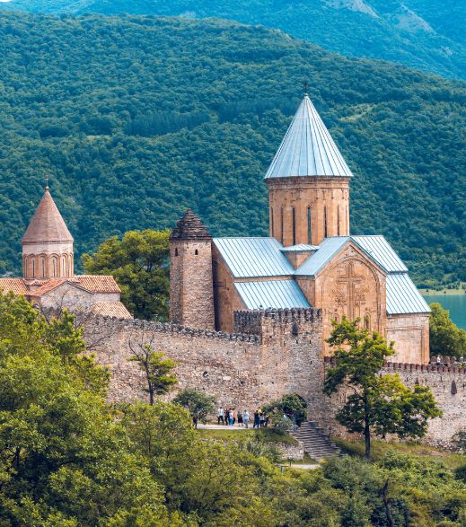 Georgiavisa